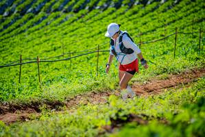 BIB: 
                            <button type="button" onclick="openModal(19162010)" class="btn btn-primary btn-sm float-right btn-popup" data-toggle="modal" data-target=".modal-high-quality">
                        <i class="fas fa-shopping-cart"></i> Add to Cart
                    </button>
                                            <button type="button" onclick="isThisMe(19162010, true)" class="btn btn-success btn-sm float-right btn-popup btn-isme hidden" data-toggle="tooltip" data-placement="bottom" title="นี่คือรูปของคุณใช่ไหม คลิกที่นี่เพื่อเอาเข้าอัลบั้ม">
                        <i class="fas fa-plus"></i> Add to album
                    </button>
                    <button type="button" onclick="isThisMe(19162010, false)" class="btn btn-warning btn-sm float-right btn-popup btn-isnotme hidden">
                        <i class="fas fa-ban"></i> Remove from album
                    </button>